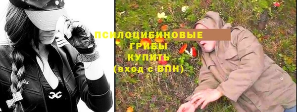 скорость Алексин